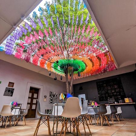 Bkl Hotel Oaxaca 外观 照片