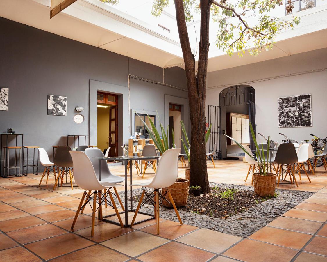 Bkl Hotel Oaxaca 外观 照片