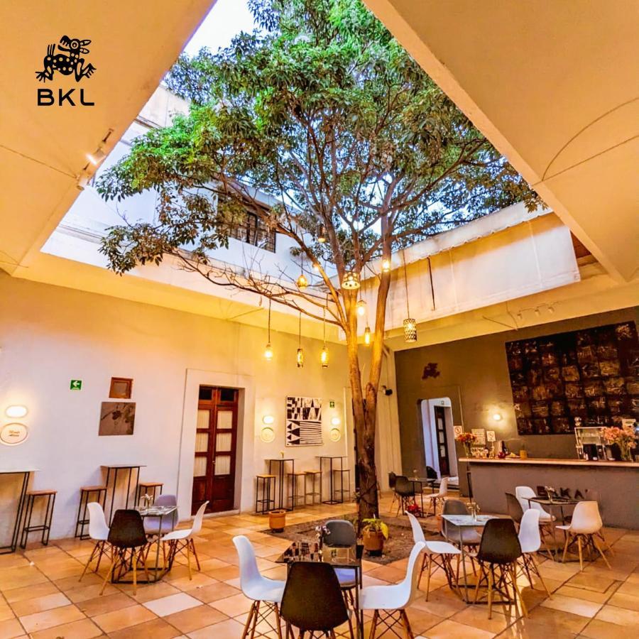 Bkl Hotel Oaxaca 外观 照片