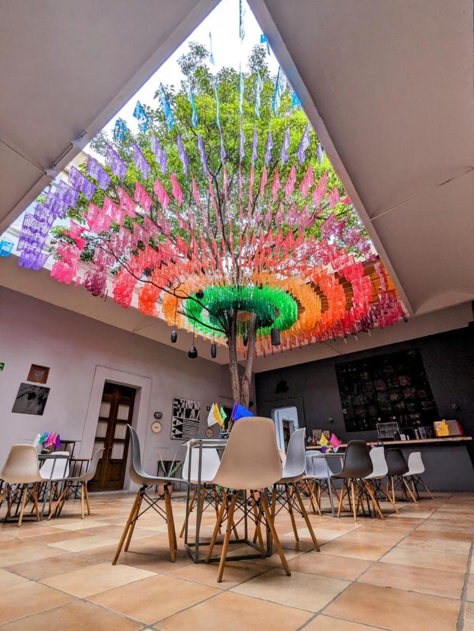 Bkl Hotel Oaxaca 外观 照片